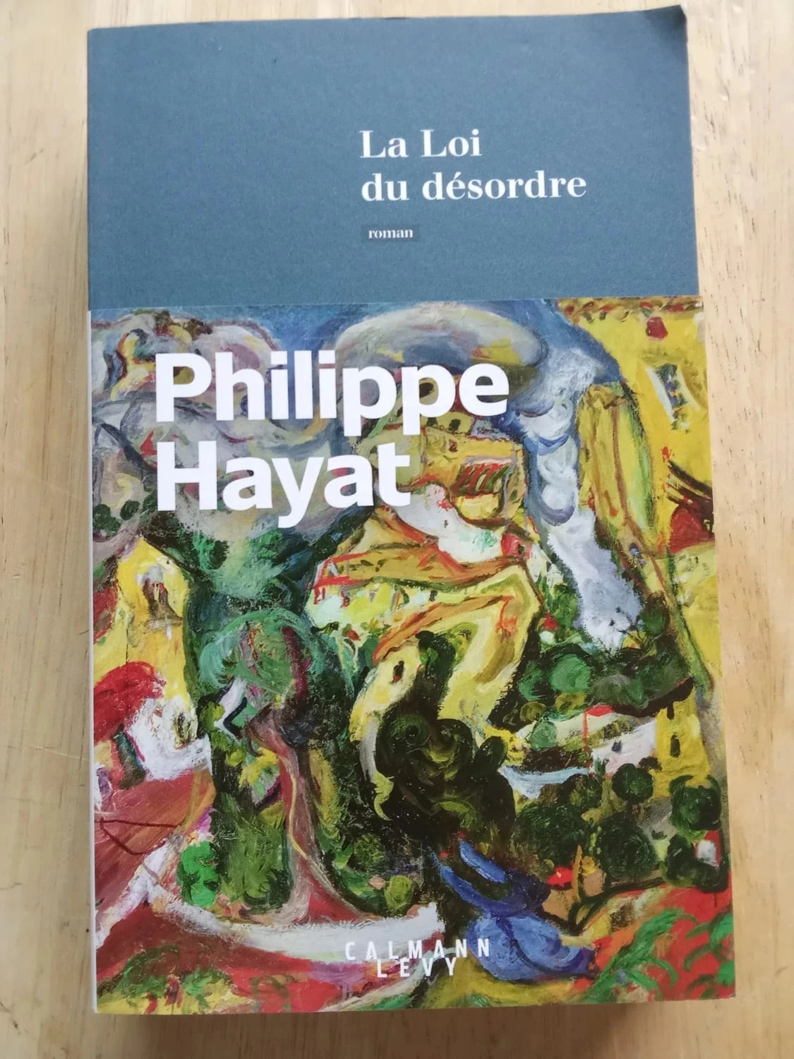 La Loi du désordre, de Philippe Hayat
